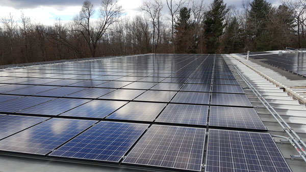 The TigerPress building roof covered with solar panels.