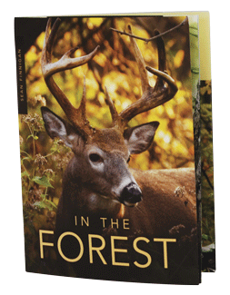 InTheForest booklet