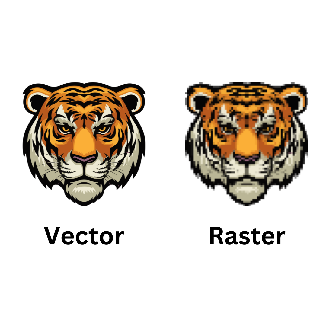 Vector vs raster example